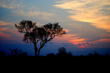 Kruger National Park - zachód słońca