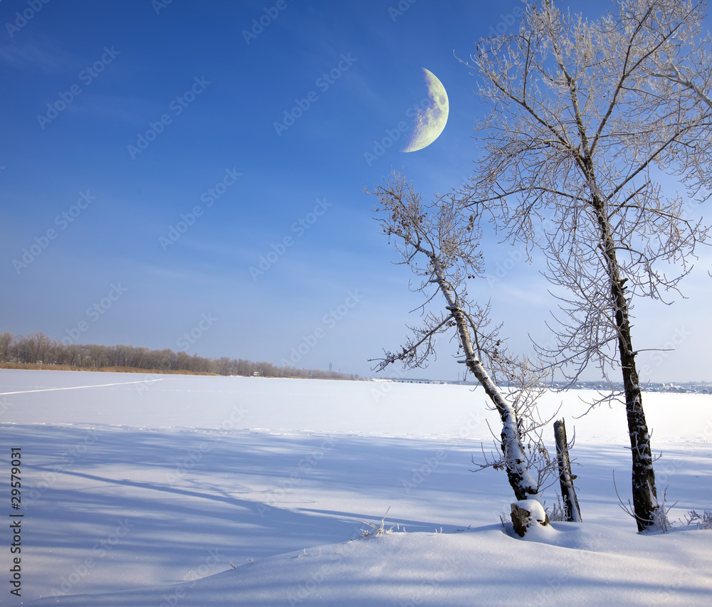 Wall mural winter landscape