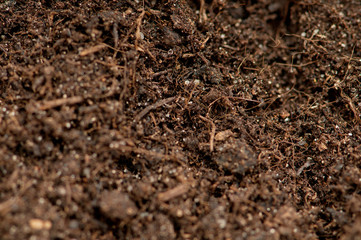 Close up of soil - can be used as background