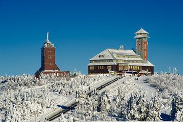 winter landscape