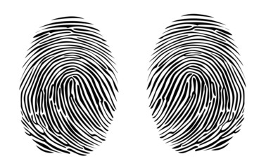 two fingerprints detailed illustration