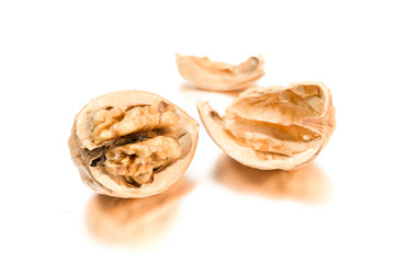 walnut