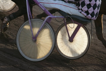 courrir