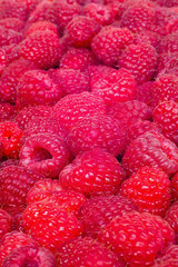 Delicious first class fresh raspberries