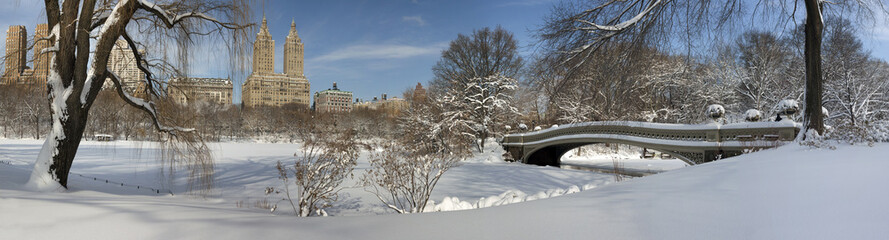 Bow bridge after snow storm