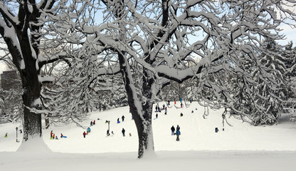 Cedar Hill after snow storm