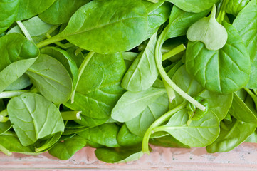 Organic Spring Mix Lettuce