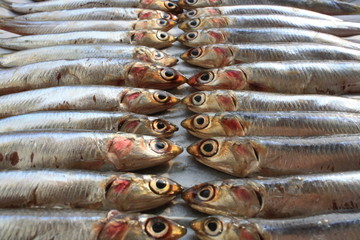 Italian anchovies