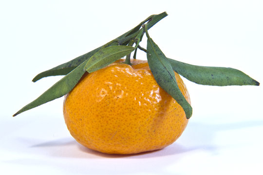 Mandarino Bilder Durchsuchen 2,799 Archivfotos, und