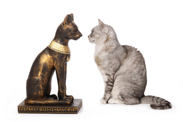 chat regardant une statue de chat égyptien