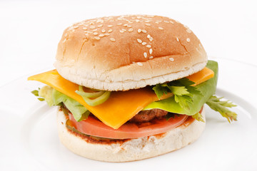 cheeseburger on the plate
