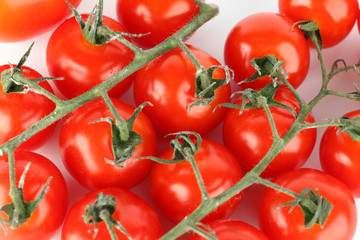 tomato background