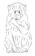 Sketch of monkey