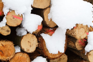Brennholz, Feuerholz, Kaminholz, schneebedeckt