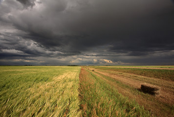 Fototapeta na wymiar Storm clouds over Saskatchewan