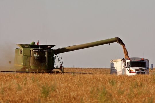 Saskatchewan harvest time