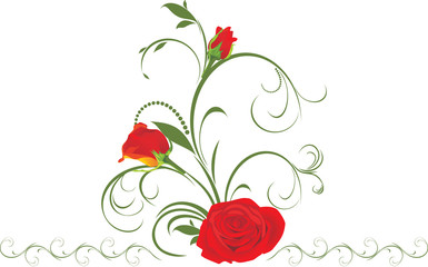 Red roses with floral ornament. Vector