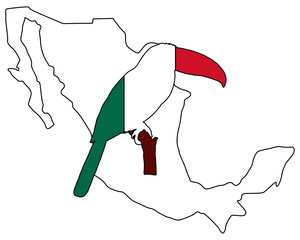 Tukan Mexiko © lantapix