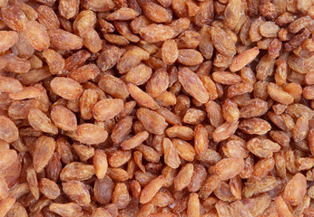 Large Raisins