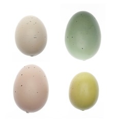 Collection of Speckled Easter Eggs Isolated