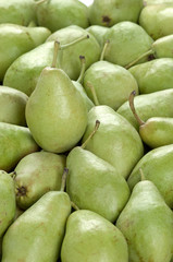 frame full of green pears