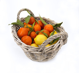 lemon and tangerines