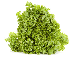 Obraz premium lettuce
