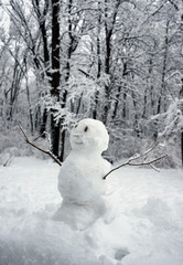 Funny snowman