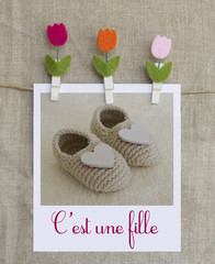 faire part naissance fille © Toanet
