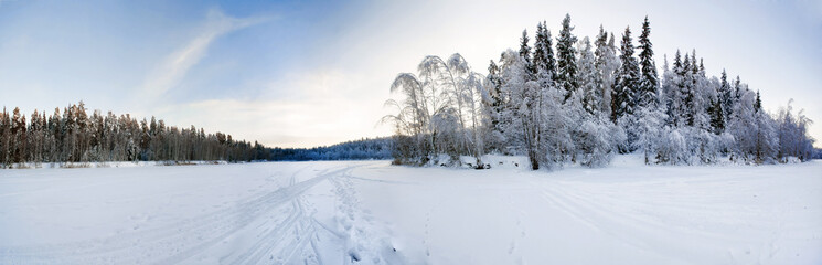 Stitched panorama of winter field with trees