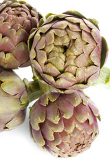 Obraz premium Foglie dei Carciofi Romaneschi