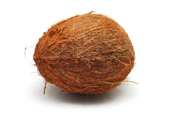 coconut