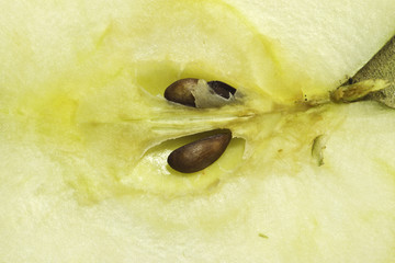 pomme golden coup&eacute;e