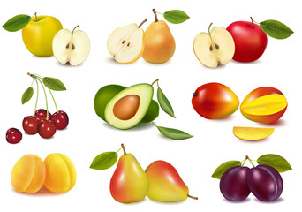 Group with different sorts of fruit. Vector.