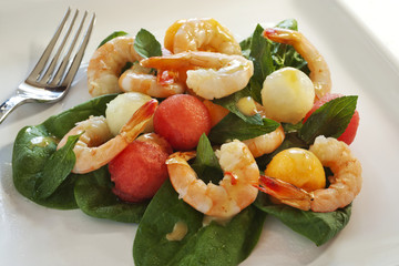 Shrimp and Melon Salad