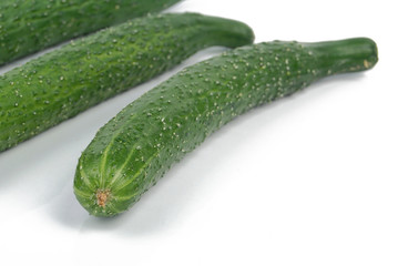 Cucumber