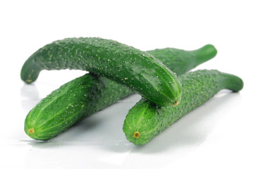 Cucumber