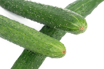 Cucumber