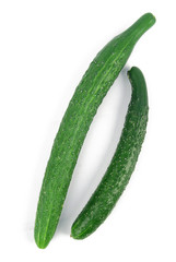 Cucumber