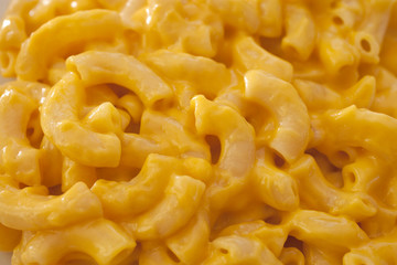 Macaroni and Cheese