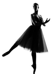 woman ballet dancer standing pose © snaptitude