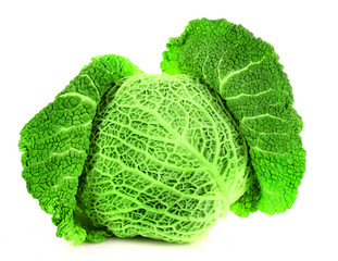 Fototapeta premium Savoy cabbage isolated on white