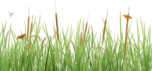 Meadow Scene on White