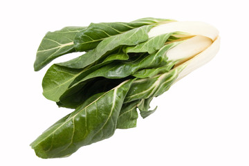 Mangold vor weissem Hintergrund