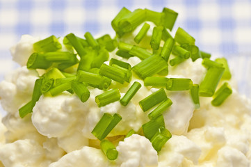 Frischkäse mit Kräutern
