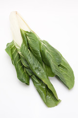 Mangold vor weissem Hintergrund