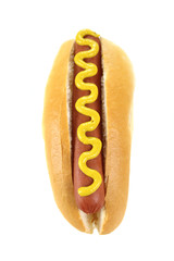 Hot Dog