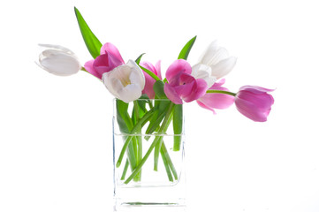 Bouquet of fresh tulips