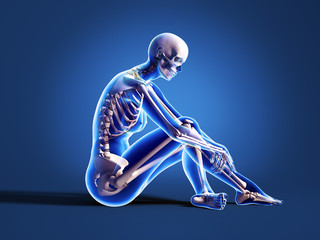 Anatomy sitting woman with skeleton, X-ray.