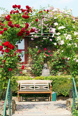 Rosengarten im Sommer - Rose Garden Summer